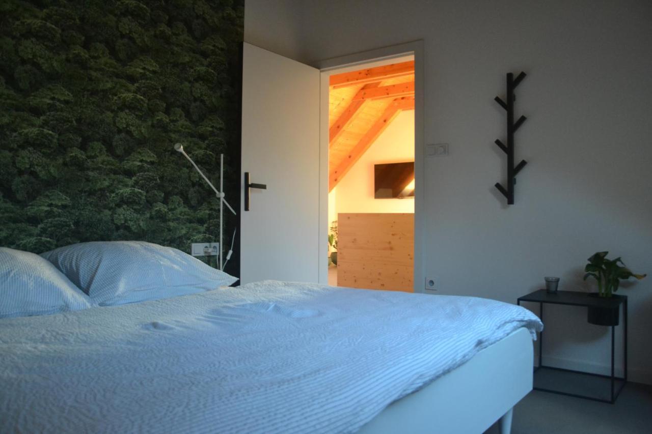 Apartman Cervenice Dlouhy エクステリア 写真