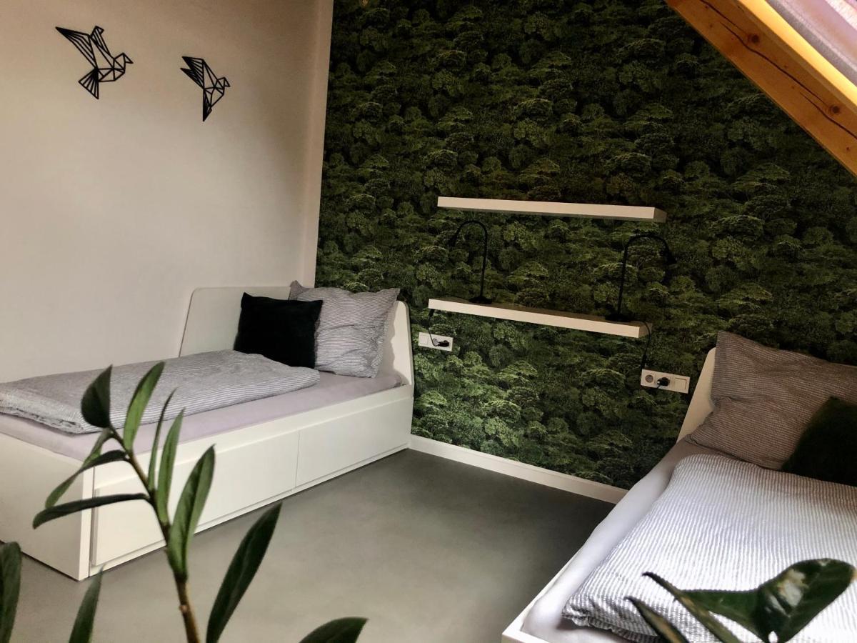 Apartman Cervenice Dlouhy エクステリア 写真