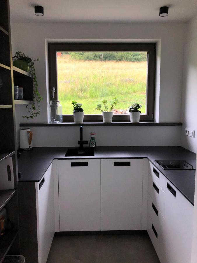 Apartman Cervenice Dlouhy エクステリア 写真